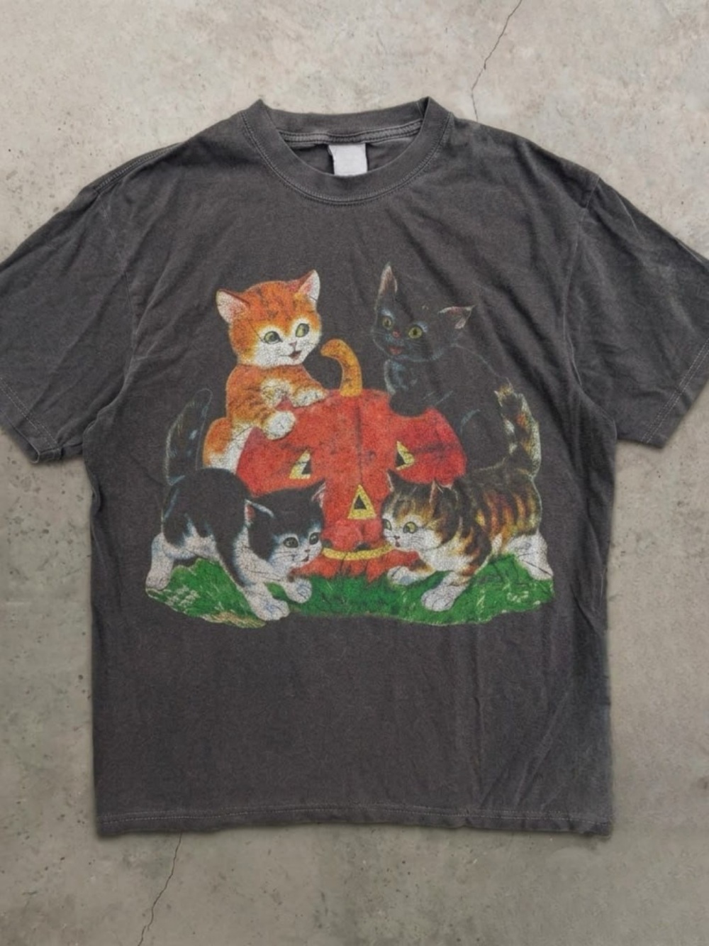 Style Black Cat & Pumpkin Graphic comfort color T-shirt - Cats Print